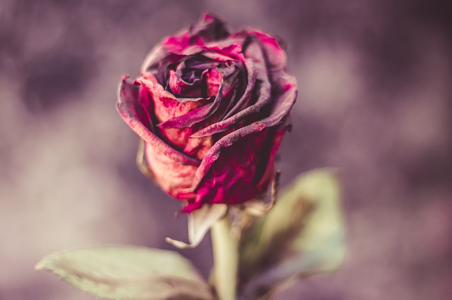 Quelles sortes de fleurs utilisées pour un deuil ?