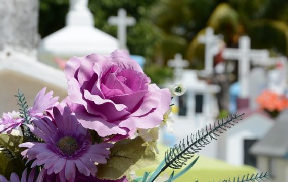 Funérailles : que choisir entre les fleurs naturelles et les fleurs artificielles ?