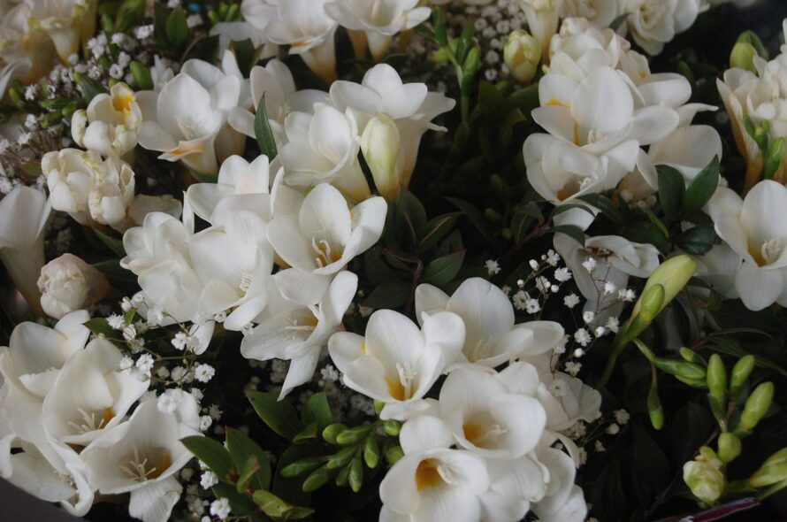 Comment composer un bouquet de fleurs blanches lors des funérailles ?